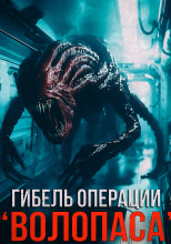 Гибель операции "Волопас"