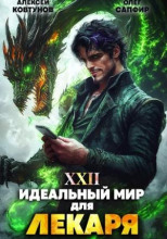 Идеальный мир для Лекаря 22