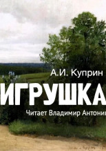 Игрушка