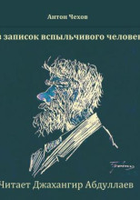Из записок вспыльчивого человека