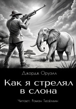 Как я стрелял в слона