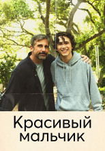 Красивый мальчик. Правдивая история отца, который боролся за сына