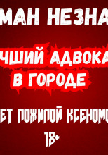 Лучший адвокат в городе