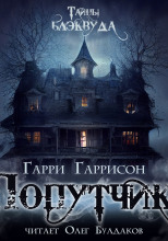 Попутчик