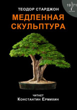 Медленная скульптура