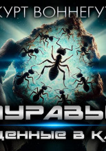 Муравьи, обращённые в камень