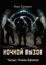 Ночной вызов