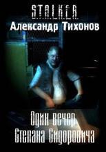 Один вечер Степана Сидоровича