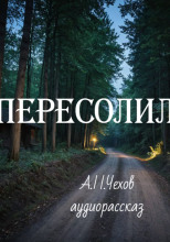 Пересолил