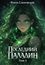Последний Паладин. Том 3