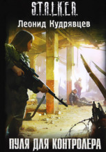 Пуля для Контролёра