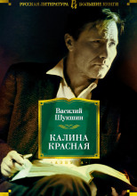 Сапожки