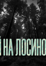 Случай на Лосиной Роще