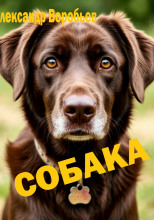 Собака