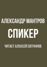 Спикер