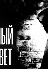 Спокойный серый цвет