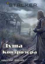 Душа контролёра
