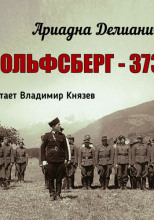 Вольфсберг-373