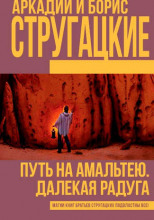 Путь на Амальтею