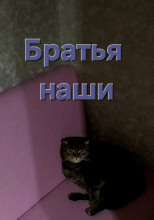 Братья наши