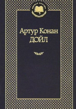Бразильский кот