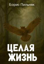 Целая жизнь