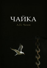 Чайка