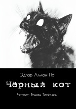 Чёрный кот
