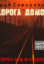 Дорога домой