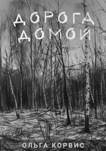 Дорога домой